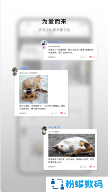 小它app