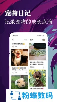 铲屎官app宠物社交聊天版