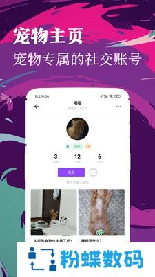 铲屎官app宠物社交聊天版