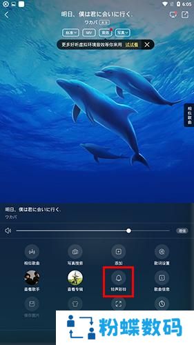 酷狗音乐概念版