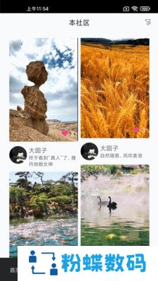 金果匠社播app