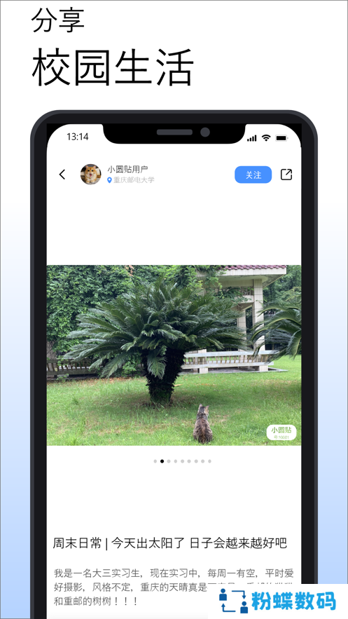 小圆贴安卓